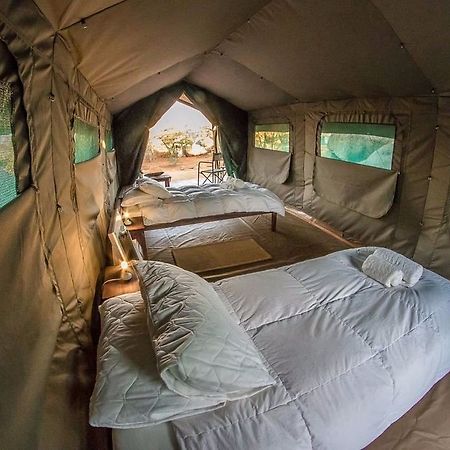 Hoada Camp Site 호텔 Palmwag 외부 사진